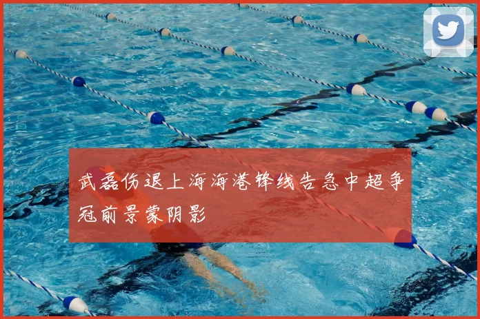 武磊伤退上海海港锋线告急中超争冠前景蒙阴影