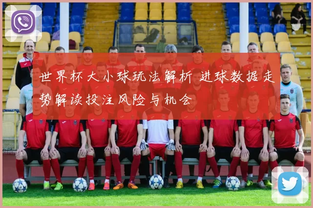 世界杯大小球玩法解析 进球数据走势解读投注风险与机会