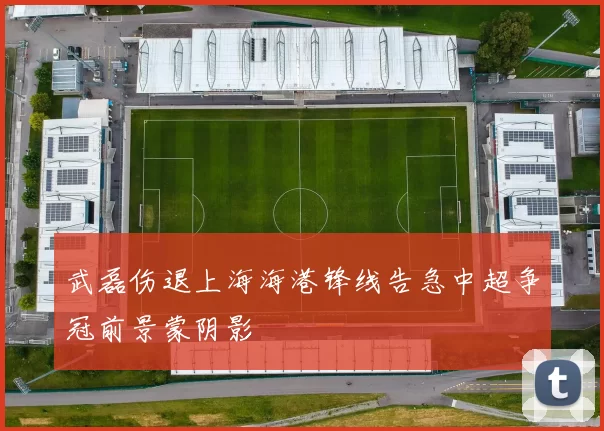 武磊伤退上海海港锋线告急中超争冠前景蒙阴影