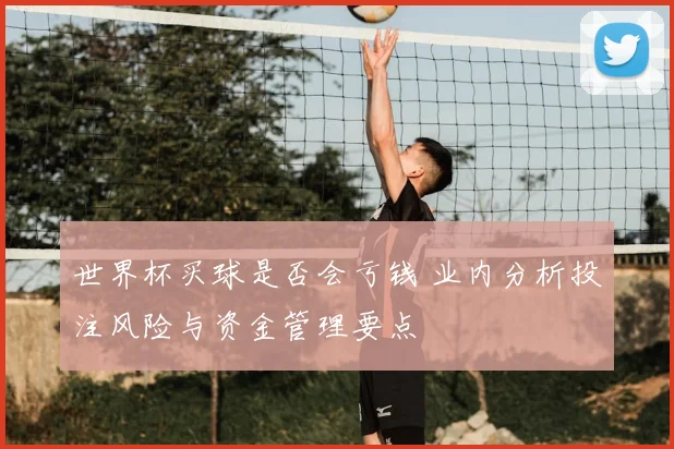 世界杯买球是否会亏钱 业内分析投注风险与资金管理要点